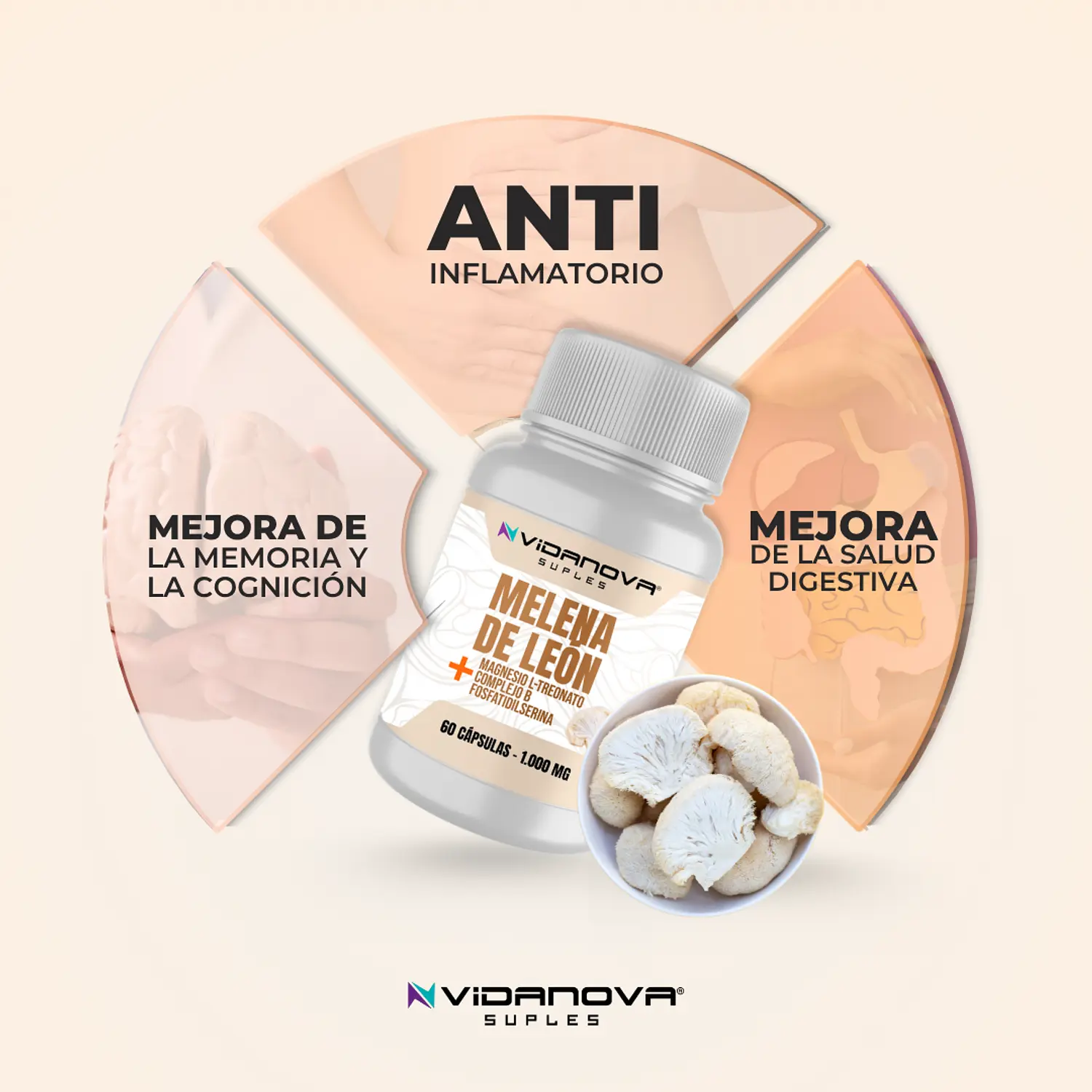 Melena de León Fortificada Mente Clara y Energía